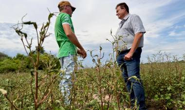 LAS BREÑAS: EL GOBIERNO PROVINCIAL ENDURECE CONTROLES CONTRA EL USO DE HERBICIDAS PROHIBIDOS