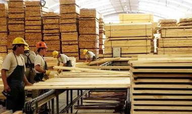 LA FORESTOINDUSTRIA PIDE UNA ACCIÓN CONJUNTA PARA EVITAR LA QUIEBRA DEL SECTOR