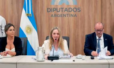 ARRANCA EN COMISIONES EL TRATAMIENTO DE LA BAJA DE EDAD DE IMPUTABILIDAD