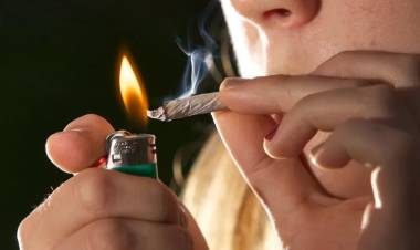 CONSUMIR MARIHUANA AUMENTA EL RIESGO DE PSICOSIS Y TRASTORNO BIPOLAR