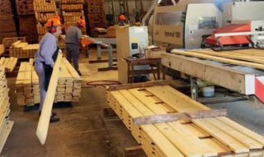 EL SECTOR FORESTOINDUSTRIAL RECLAMA LA DECLARACIÓN DE EMERGENCIA POR LA CRISIS