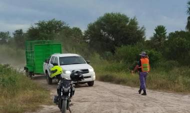 VILLA ÁNGELA: SECUESTRAN ANIMALES FAENADOS Y VIVOS TRAS OPERATIVO RURALES