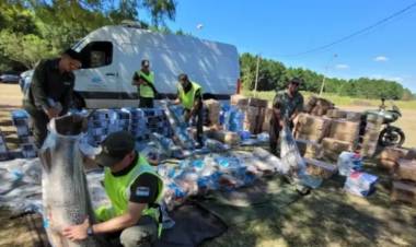 CAMIONERO CHAQUEÑO FUE DETENIDO CON MILLONARIA CARGA DE PESCADOS EN CORRIENTES