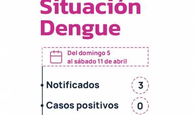 CHACO SIN CASOS DE DENGUE: SALUD INSISTE EN LAS ACCIONES DE PREVENCIÓN