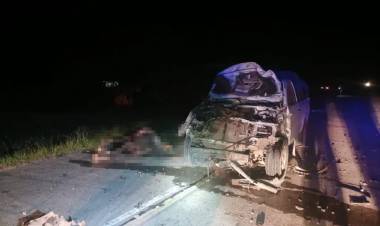 ACCIDENTE EN RUTA 9: UN CABALLO MURIÓ TRAS SER EMBESTIDO EN COLONIAS UNIDAS