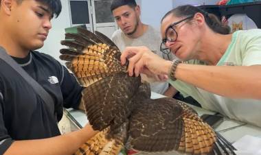 EL REFUGIO DE AVES SILVESTRES PIDE COLABORACIÓN URGENTE