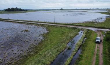 ECONOMÍA DECLARÓ LA EMERGENCIA AGROPECUARIA EN VARIOS DEPARTAMENTOS DE SANTA FE POR INUNDACIONES