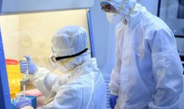 DESCARTARON UN CASO DEL VIRUS ÉBOLA EN ARGENTINA