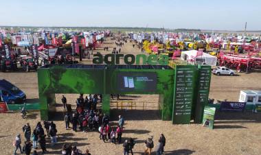 BICE PRESENTA EN AGRONEA LOS CRÉDITOS GANADEROS IMPULSADOS JUNTO AL GOBIERNO DEL CHACO