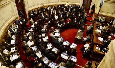SENADO: CÓMO IMPACTARÍA LA NUEVA NORMA DE LA PROPIEDAD EN LA COMPRA DE CAMPOS POR EMPRESAS EXTRANJERAS