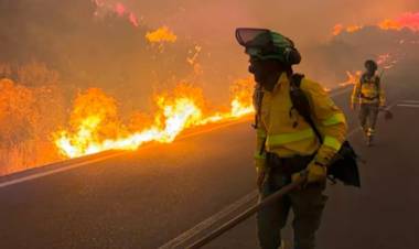 VIENTO ZONDA EN JUJUY: RÁFAGAS INÉDITAS EN 30 AÑOS CAUSARON DESTROZOS E INCENDIOS
