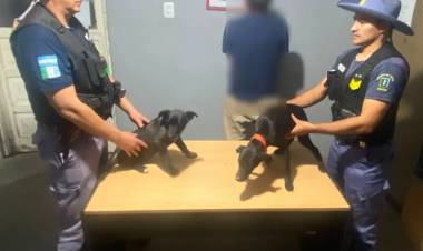 LAS MULTAS POR MALTRATO ANIMAL PODRÁN LLEGAR A $18,8 MILLONES EN EL CHACO