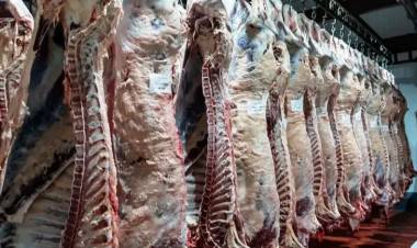 CARNE VACUNA: EXPORTACIONES EN ALZA, CONSUMO EN MÍNIMOS Y ALERTA CLIMÁTICA QUE PREOCUPA