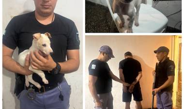 VILLA ÁNGELA: COMISARÍA SEGUNDA ESCLARECIÓ UN HECHO DE HURTO Y RECUPERÓ EL ANIMAL SUSTRAÍDO