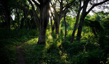 CAMPING LA FIDELIDAD, LA AVENTURA DE ALOJARSE EN LA NATURALEZA DE EL IMPENETRABLE
