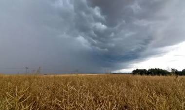 LA ONU ADVIRTIÓ QUE EL NIÑO SE INTENSIFICA Y PREVÉ UN GRAN IMPACTO EN LA ARGENTINA