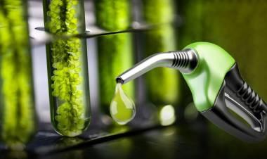 IMPACTO EN LOS SURTIDORES: ENERGÍA AUTORIZÓ SUBAS DE HASTA 4% EN LOS BIOCOMBUSTIBLES