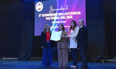 ”CONSTRUIR REDES QUE SOSTIENEN VIDA”: CHACO REUNIÓ A ESPECIALISTAS PARA PROMOVER Y PROTEGER LA LACTANCIA