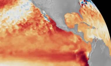 SÚPER EL NIÑO: LA PROBABILIDAD DE QUE SEA MUY FUERTE TREPÓ A 95% Y CHACO, ENTRE LAS SEIS PROVINCIAS MÁS EXPUESTAS
