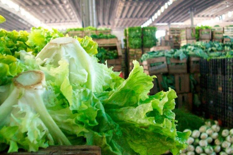 REPUNTE DE PRECIOS PARA LOS ALIMENTOS