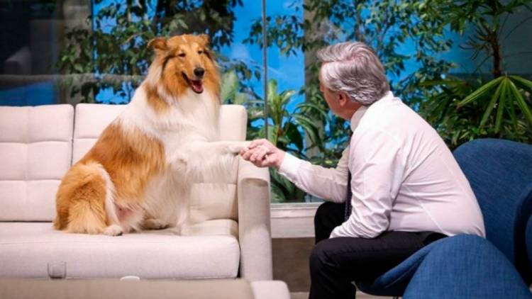 MILEI LE OFRECIÓ A ALBERTO FERNÁNDEZ ADOPTAR A SU PERRO DYLAN