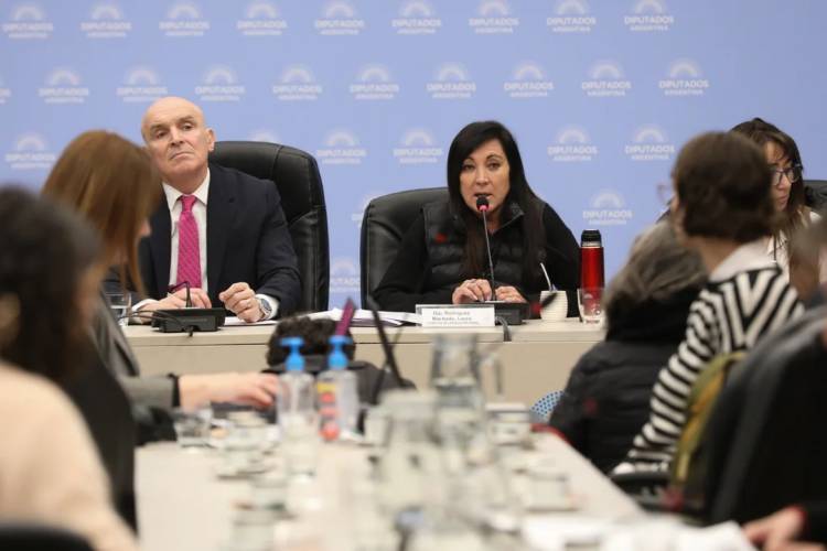 DIPUTADOS PROFUNDIZÓ EL ANÁLISIS DE LOS PROYECTOS QUE BUSCAN BAJAR LA EDAD DE IMPUTABILIDAD