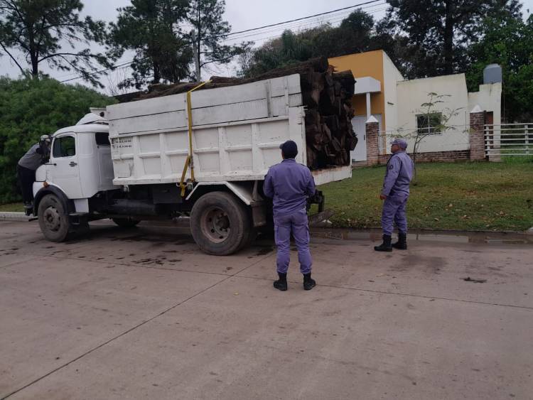 SECUESTRAN CAMIÓN CON MADERA ILEGAL EN COLONIAS UNIDAS