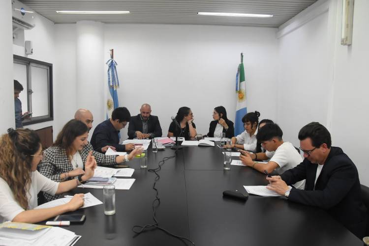 PRIMERA REUNIÓN DE LA COMISIÓN DE ASUNTOS GENERALES DEL PARLAMENTO JUVENIL