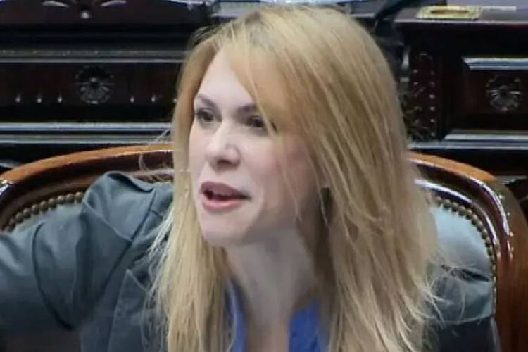 EL DEBATE DE FICHA LIMPIA REABRIÓ LA INTERNA LIBERTARIA