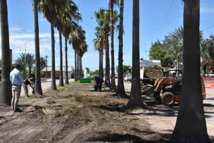 LA MUNICIPALIDAD DE VILLA ÁNGELA AVANZA CON LOS TRABAJOS DE REFORESTACIÓN EN EL PASEO LUIS LANDRISCINA