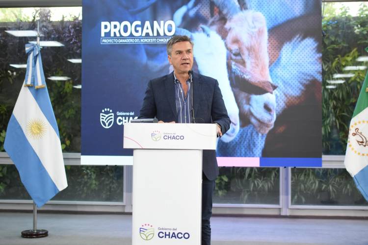 EL GOBERNADOR ZDERO REACTIVÓ EL PROGANO PARA CONSOLIDAR LA CADENA GANADERA: “MÁS PRODUCCIÓN, MÁS TRABAJO Y MÁS DESARROLLO PARA EL CHACO”