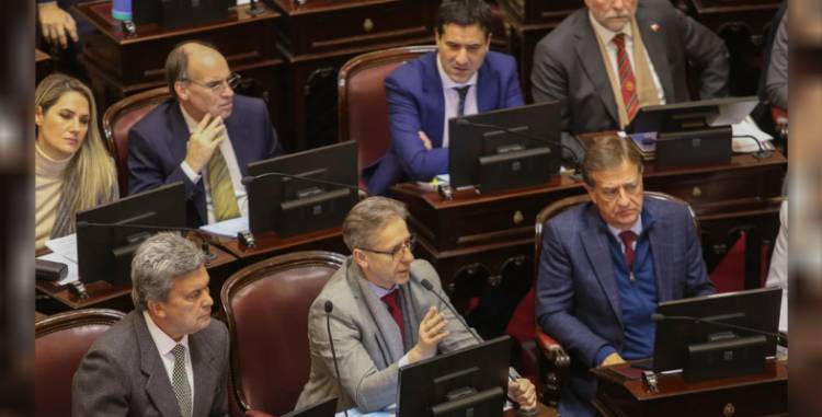 SENADORES RADICALES PIDIERON A VILLARRUEL LA CONTINUIDAD DEL CONGELAMIENTO DE LAS DIETAS