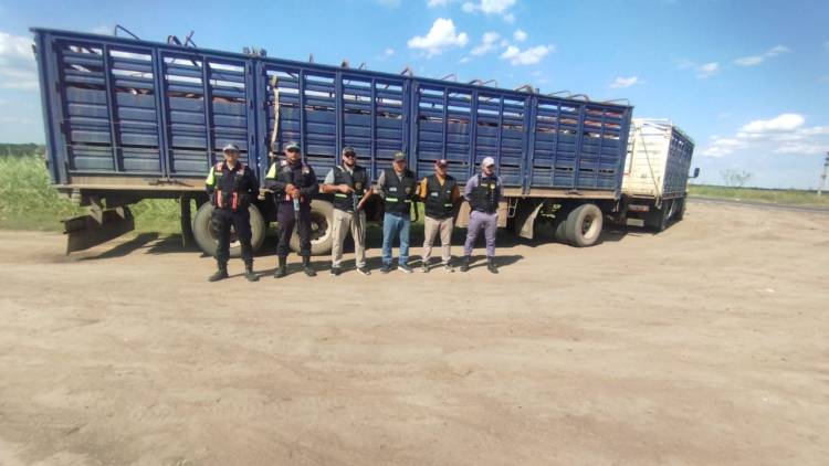 CAMINERA INTERVIENE CARGAS VACUNAS POR AMOMALÍAS EN LA DOCUMENTACIÓN