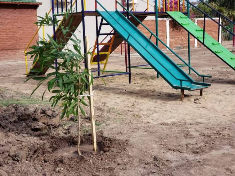 LA MUNICIPALIDAD DE VILLA ÁNGELA AVANZA CON LA FORESTACIÓN Y PARQUIZACIÓN EN LA PLAZA DEL BARRIO CÁMARA DE COMERCIO