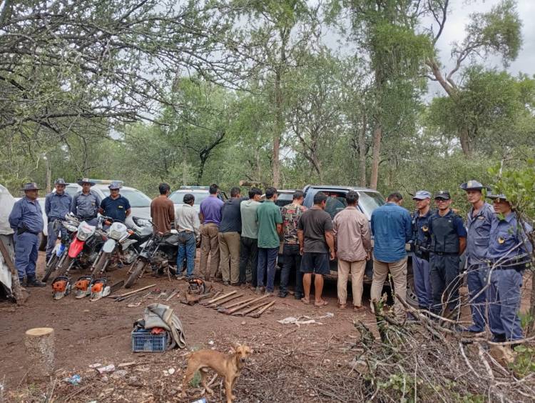 RURALES HACEN FRENTE AL TRÁFICO Y TALA ÍLEGAL DE MADERA