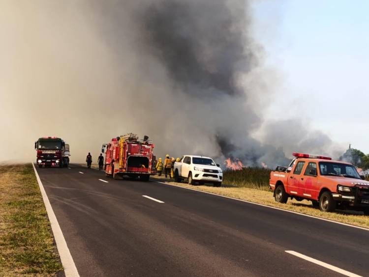 INCENDIO RURAL: TRABAJOS DE SECHEEP PARA REPONER POSTES QUEMADOS Y KILÓMETROS DE LÍNEAS EN BASAIL