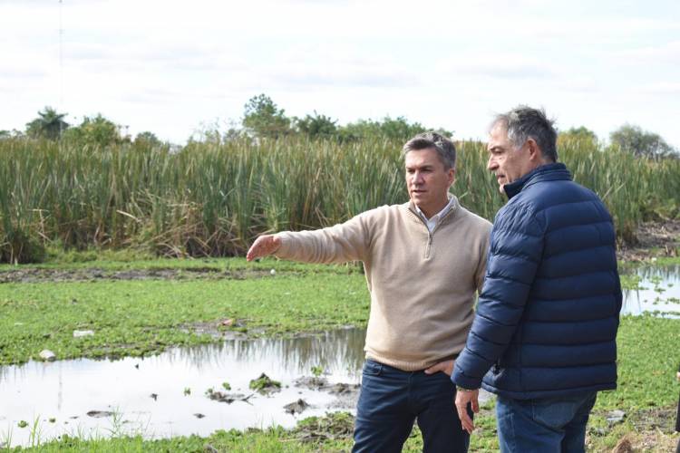 REPAVIMENTACIÓN DE LA AV. 9 DE JULIO: CONTINÚAN LOS TRABAJOS DE LIMPIEZA EN LAGUNAS Y CANALES DE LA LIGURI