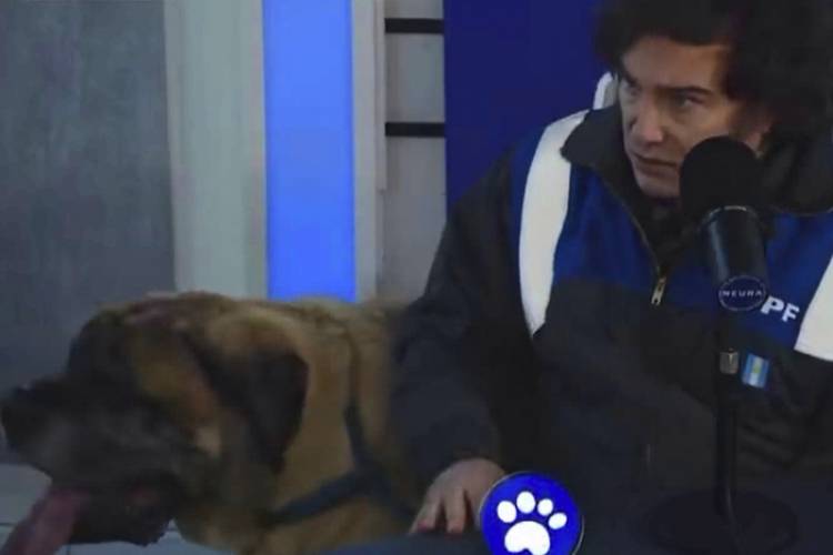 JAVIER MILEI APARECIÓ CON SU PERRO CONAN EN UN PROGRAMA DE STREAMING