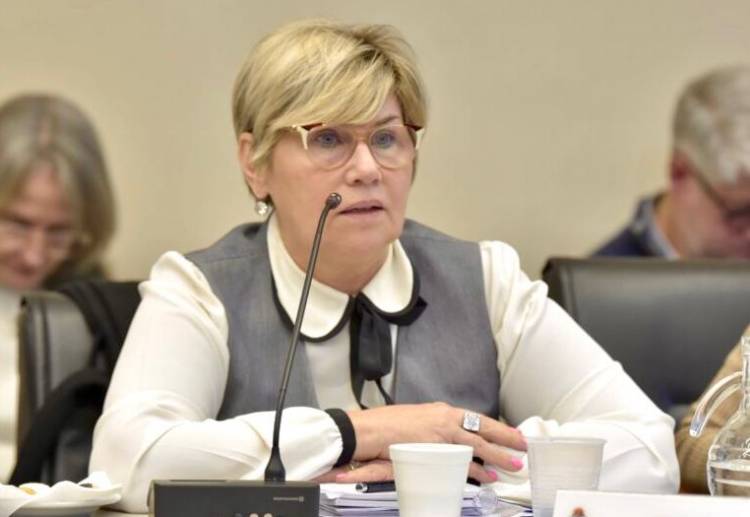 LA MINISTRA NAIDENOFF DESTACÓ LOS AVANCES EN LAS AULAS CON LAS ENTREGAS DE LIBROS PARA LOS TRES CICLOS DE NIVEL PRIMARIO