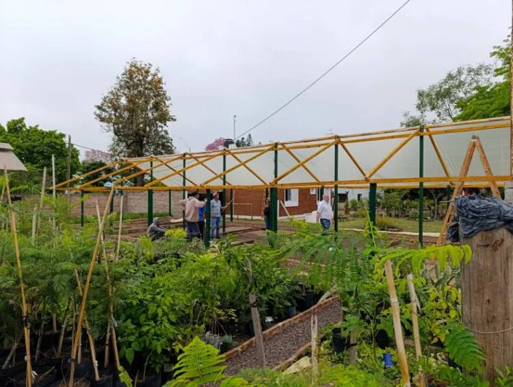 RECONSTRUYEN EL INVERNADERO DEL VIVERO MUNICIPAL EN CORONEL DU GRATY