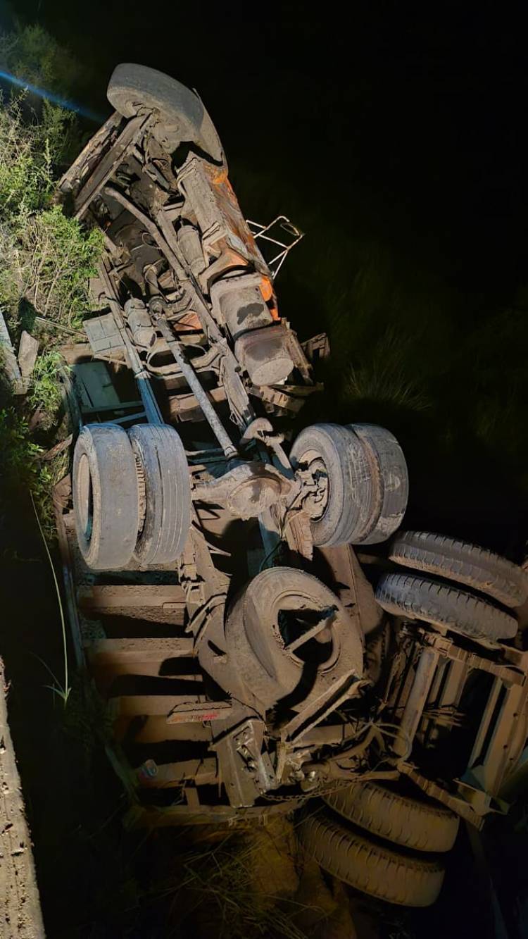 CAMIÓN CON ROLLIZOS DESPISTÓ EN LA RUTA PROVINCIAL 49 CERCA DE COTE LAI