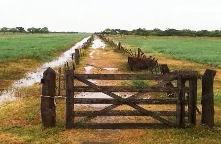 EN EL INTERIOR FALTA LLUVIA, SALVO EN EL SUDOESTE