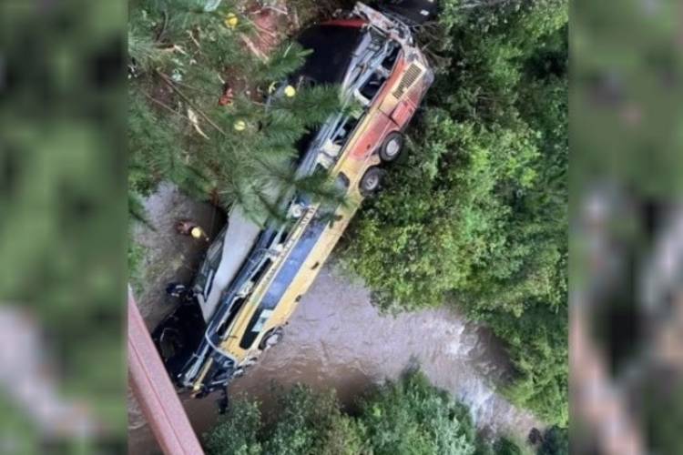 TRAGEDIA EN MISIONES: UN MICRO CHOCÓ CON UN AUTO Y CAYÓ A UN ARROYO