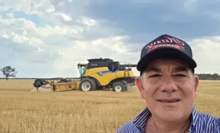REMATE PRIMICIA NACIONAL DE TRIGO, QUE SALIÓ DE CHACO