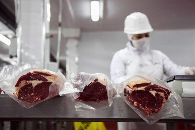AGRICULTURA DISTRIBUYÓ LA CUOTA HILTON DE CARNE BOVINA PARA EL PERÍODO 2025/2026