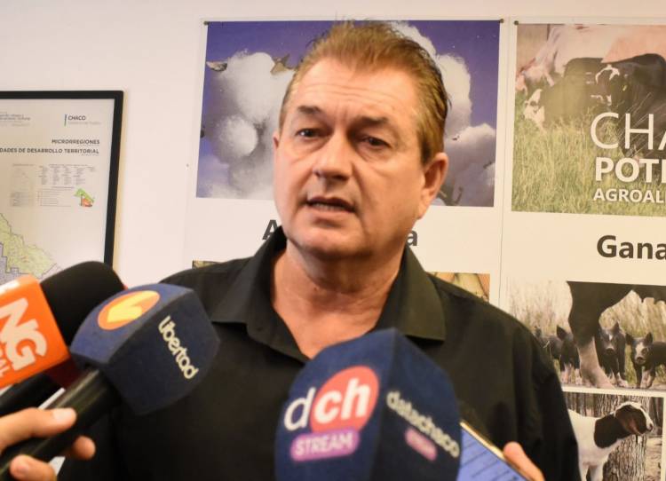 DUDIK ADVIERTE QUE LA CAUTELAR DEJA AL CHACO SIN UN MARCO LEGAL PARA CUIDAR EL AMBIENTE Y PARALIZA LA ACTIVIDAD FORESTAL