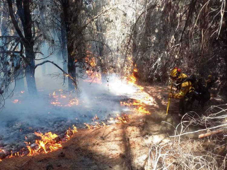 EN MEDIO DE LOS INCENDIOS, EL GOBIERNO GIRA $ 120.000 MILLONES A LOS BOMBEROS