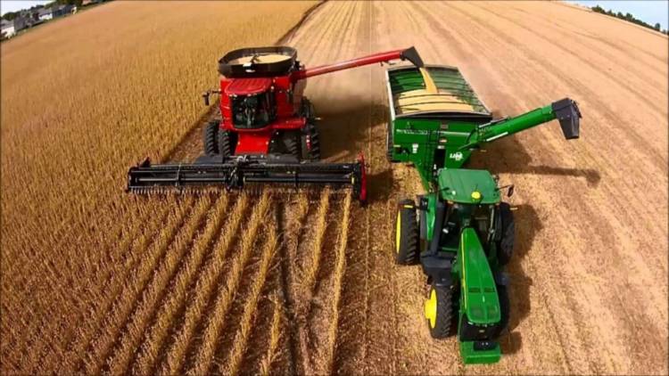 SE MANTIENEN LAS PROYECCIONES DE COSECHA PARA SOJA Y MAÍZ TRAS LAS LLUVIAS DE FEBRERO