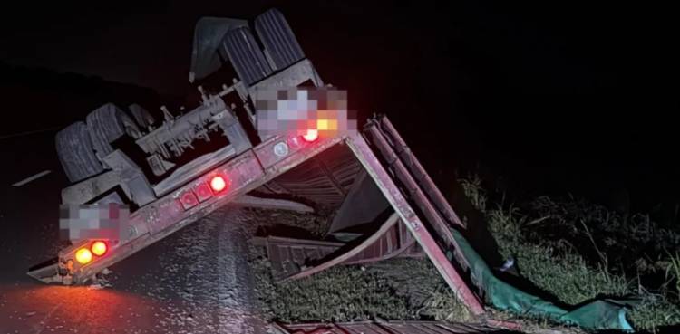 CORZUELA: VOLCÓ UN ACOPLADO CARGADO CON SEMILLAS DE ALGODÓN EN LA RUTA 89