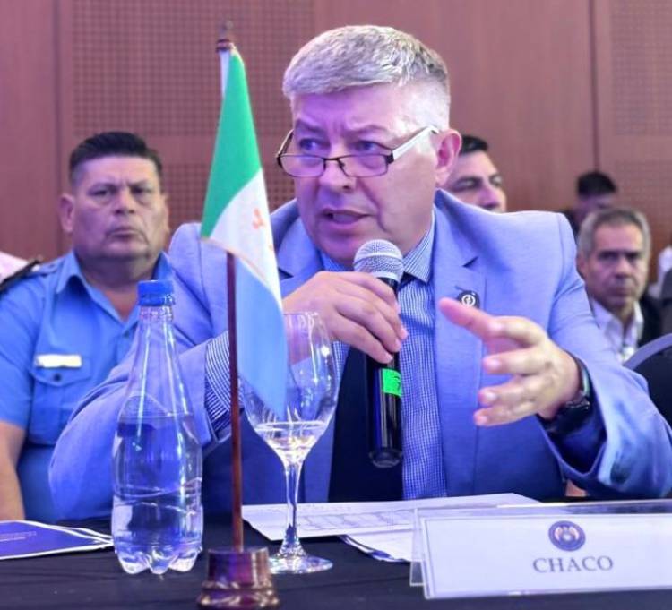 CONSEJO DE SEGURIDAD INTERIOR: MATKOVICH PIDIÓ REFORZAR EL CONTROL DEL ESPACIO AÉREO NORTE